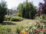 au soleil d'Albi